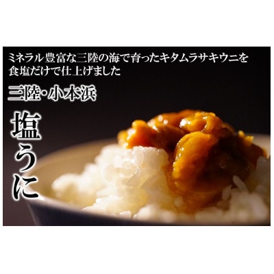 三陸小本浜産塩ウニ100g【配送不可地域：離島】