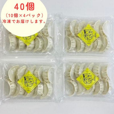 【岩泉黒豚 和み餃子】岩手県岩泉町産 龍泉洞黒豚使用の手包み餃子 40個【配送不可地域：離島】