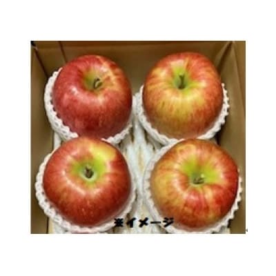 岩手県岩泉町産りんご 2品種食べくらべ!【サンふじ・おおゆめ】(1.5キロ:約4個)