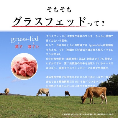 なかほら牧場 グラスフェッドビーフ2種セット　各500g×1パック【配送不可地域：離島】