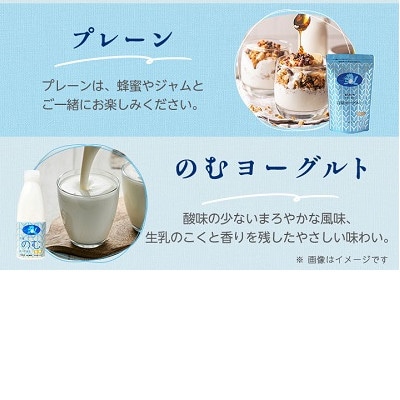 岩泉ヨーグルト(プレーン1kg×2袋)・のむヨーグルト(720ml×1本)セット【配送不可地域：離島】