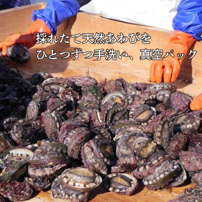 三陸小本浜産冷凍天然あわび　400g(4個入り)【配送不可地域：離島】