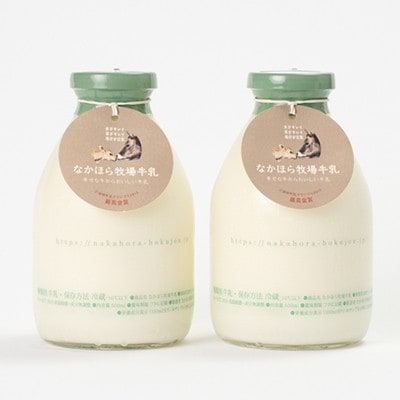 【毎月定期便】なかほら牧場牛乳〔500 ml〕2本セット全6回【配送不可地域：離島】
