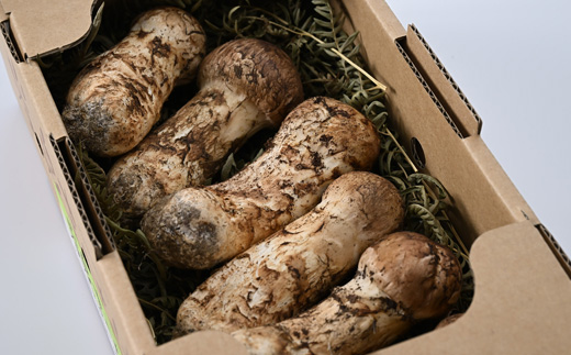 岩泉まつたけ 300g【配送不可地域：離島】