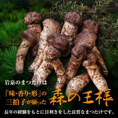 ≪産地直送≫　岩泉まつたけ 250g【配送不可地域：離島】