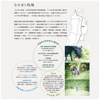 なかほら牧場のぷりん6個セット〔カスタード〕【配送不可地域：離島】