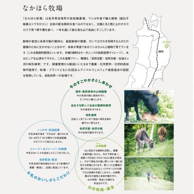 なかほら牧場のミルクアイス6個セット【配送不可地域：離島】