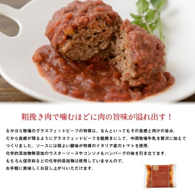 なかほら牧場の煮込みハンバーグ5個セット【配送不可地域：離島】
