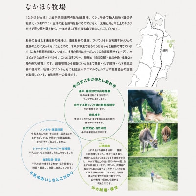 なかほら牧場のアイス6個セット(ミルク、抹茶、チョコレート)【配送不可地域：離島】