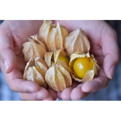 フルーツほおずきのジャムとソース各1瓶