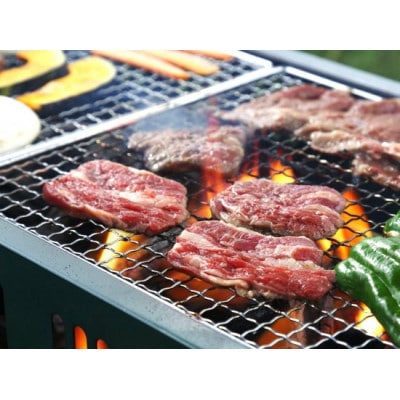 岩泉短角牛赤身スライス　300g【配送不可地域：離島】