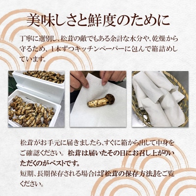 【2026秋発送】松茸マイスター厳選!旬の岩泉産松茸　150g(前後)【配送不可地域：離島】
