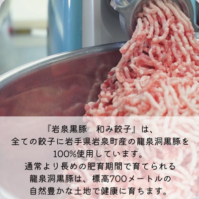 【岩泉黒豚 和み餃子】岩手県岩泉町産 龍泉洞黒豚使用の手包み餃子 20個【配送不可地域：離島】
