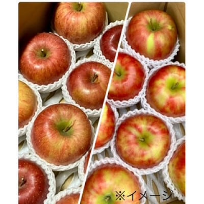 岩手県岩泉町産 りんご2品種(サンふじ・大夢)食べくらべ! 5キロ(約12個)