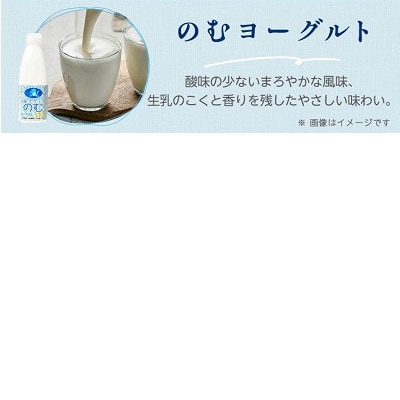 岩泉ヨーグルト(加糖1kg×2袋)・のむヨーグルト(720ml×1本)セット【配送不可地域：離島】