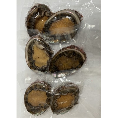 三陸小本浜産冷凍天然あわび　600g(6個入り)【配送不可地域：離島】
