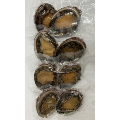 三陸小本浜産冷凍天然あわび　800g(8個入り)【配送不可地域：離島】