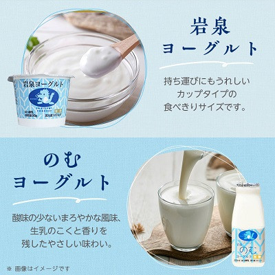 【毎月定期便】岩泉ヨーグルト90g×6個・のむヨーグルト200ml×6本セット全3回【配送不可地域：離島】