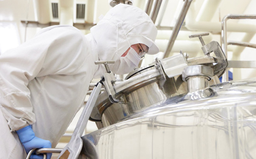 岩泉ヨーグルト2袋セット(プレーン1kg×2袋)【配送不可地域：離島】