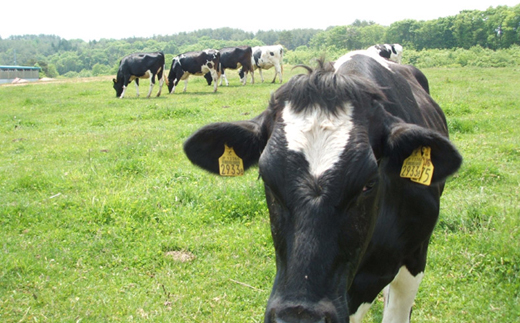岩泉ヨーグルト3袋セット(加糖1kg×3袋)【配送不可地域：離島】