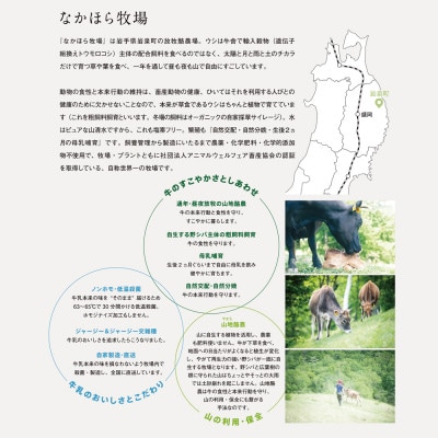 なかほら牧場のノンファット(無脂肪タイプ・プレーン)ヨーグルト  〔500 ml〕3本セット【配送不可地域：離島】