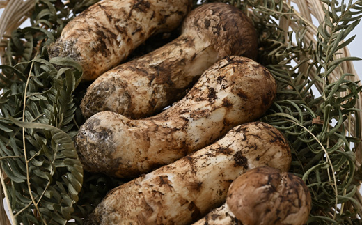 岩泉まつたけ 300g【配送不可地域：離島】