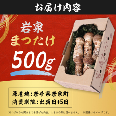 岩泉まつたけ 直送 500g【配送不可地域：離島】