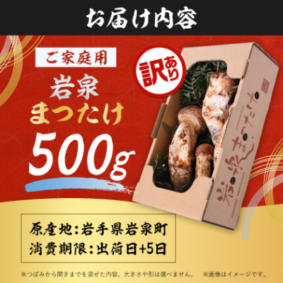 【訳あり】ご家庭用 岩泉まつたけ 直送 500g【配送不可地域：離島】