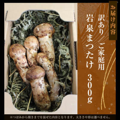【訳アリ】 岩泉まつたけ  300g　家庭用にどうぞ【配送不可地域：離島】