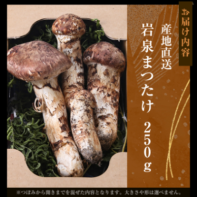≪産地直送≫　岩泉まつたけ 250g【配送不可地域：離島】