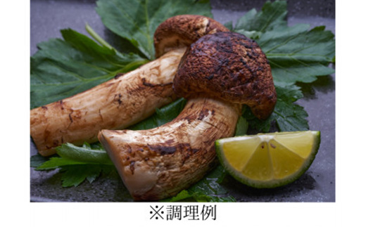 ≪産地直送≫　岩泉まつたけ  500g【配送不可地域：離島】