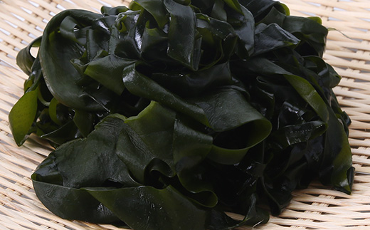 三陸小本浜産湯通し塩蔵わかめ 100g×5袋【配送不可地域：離島】