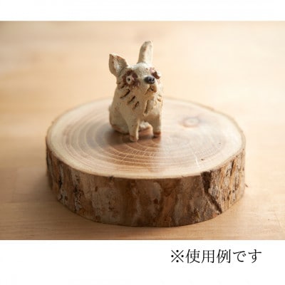 岩泉の森の樹のプレート10樹種set