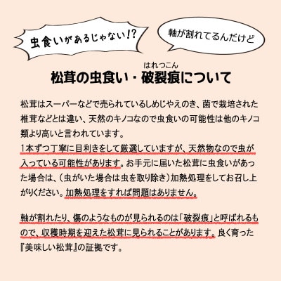 【2026秋発送】松茸マイスター厳選!旬の岩泉産松茸　250g(前後)【配送不可地域：離島】