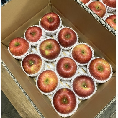 岩手県岩泉町産りんご　サンふじ(3キロ:約8個)