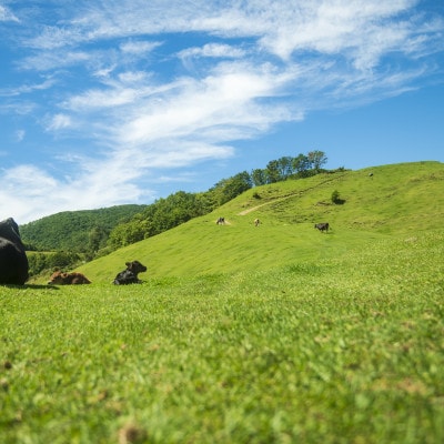 なかほら牧場 グラスフェッドビーフ(角切り)・グラスフェッドバターのセット【配送不可地域：離島】