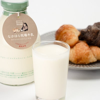 【毎月定期便】なかほら牧場牛乳〔500 ml〕2本セット全6回【配送不可地域：離島】