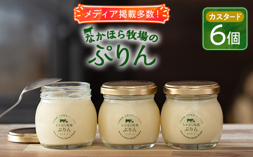 なかほら牧場のぷりん6個セット〔カスタード〕【配送不可地域：離島】