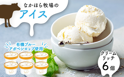 なかほら牧場 アイスクリーム《クリームリッチ》6個セット【配送不可地域：離島】