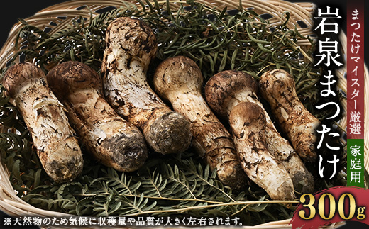 【自家用】岩泉まつたけ 300g【配送不可地域：離島】