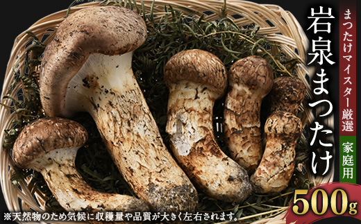 【自家用】岩泉まつたけ 500g【配送不可地域：離島】