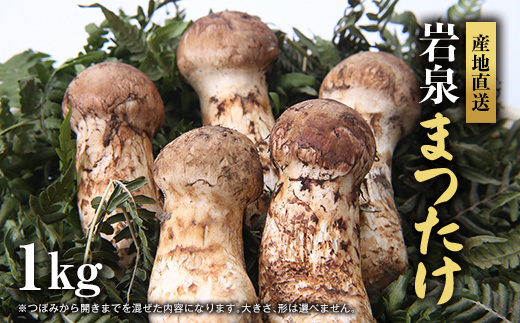 岩泉まつたけ 直送 1kg【配送不可地域：離島】