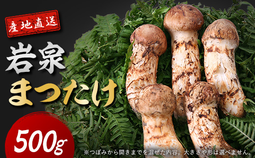 岩泉まつたけ 直送 500g【配送不可地域：離島】