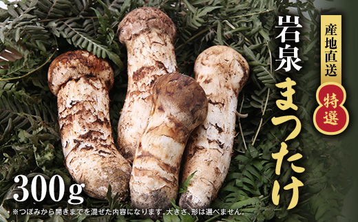 【2026秋発送】【特選】岩泉まつたけ 直送 300g【配送不可地域：離島】