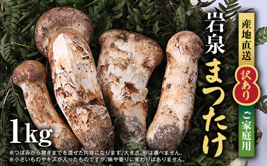 【訳あり】ご家庭用 岩泉まつたけ 直送 1kg【配送不可地域：離島】