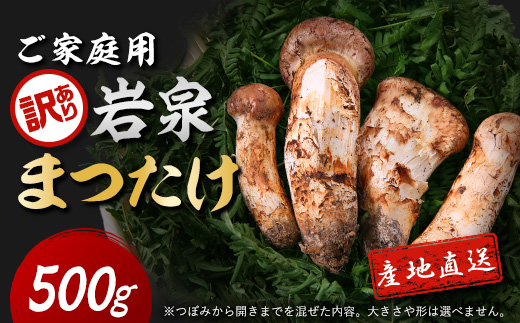 【訳あり】ご家庭用 岩泉まつたけ 直送 500g【配送不可地域：離島】