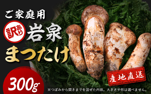 【訳あり】ご家庭用 岩泉まつたけ 直送 300g【配送不可地域：離島】