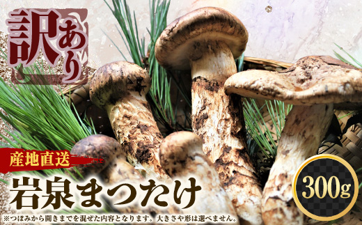【訳アリ】 岩泉まつたけ  300g　家庭用にどうぞ【配送不可地域：離島】