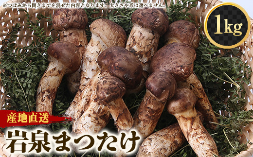 ≪産地直送≫　岩泉まつたけ  1kg【配送不可地域：離島】