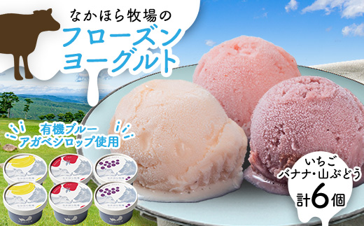なかほら牧場のフローズンヨーグルト3種各2個　合計6個セット【配送不可地域：離島】
